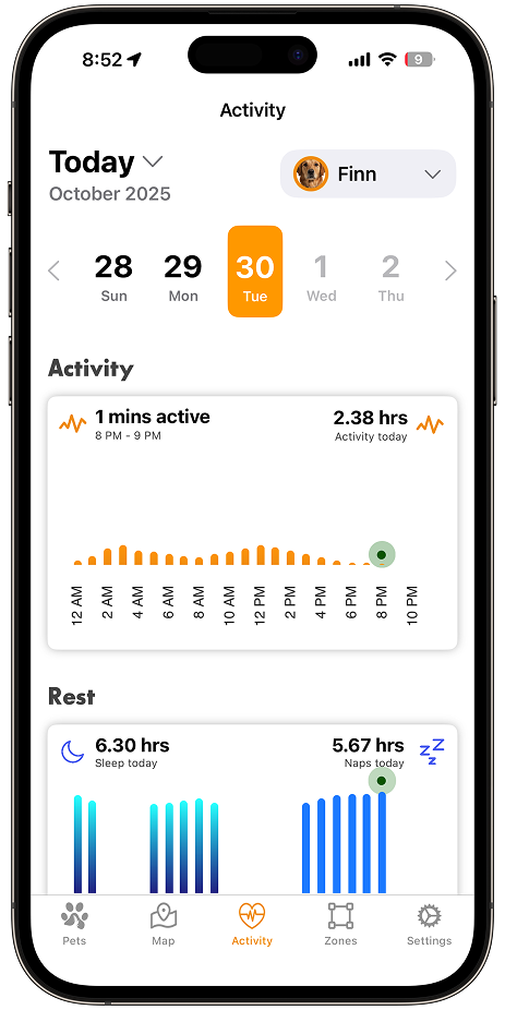 Live activity view in the ToughTail app